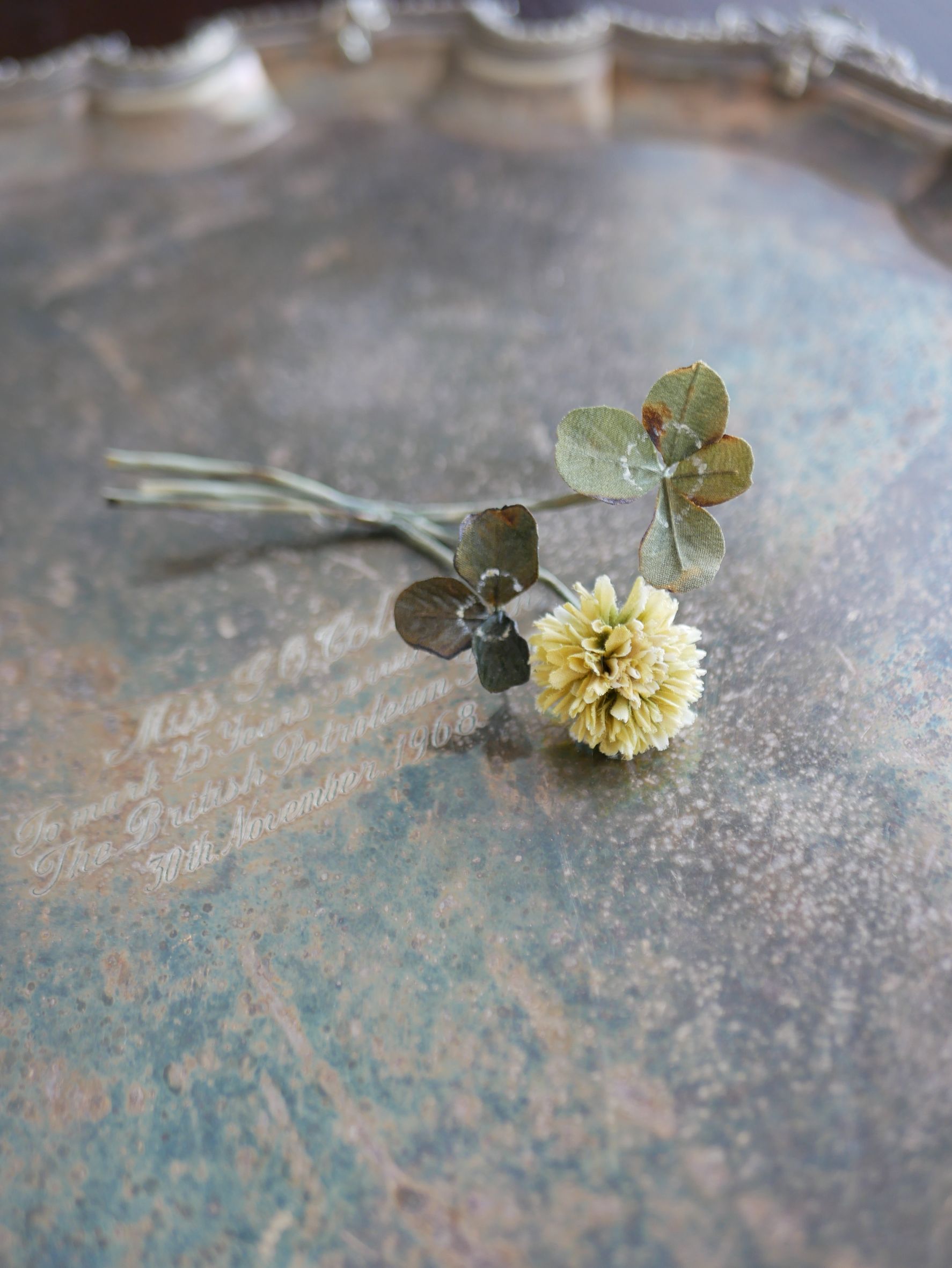 布花～白い布を染めてお花を作ろう～